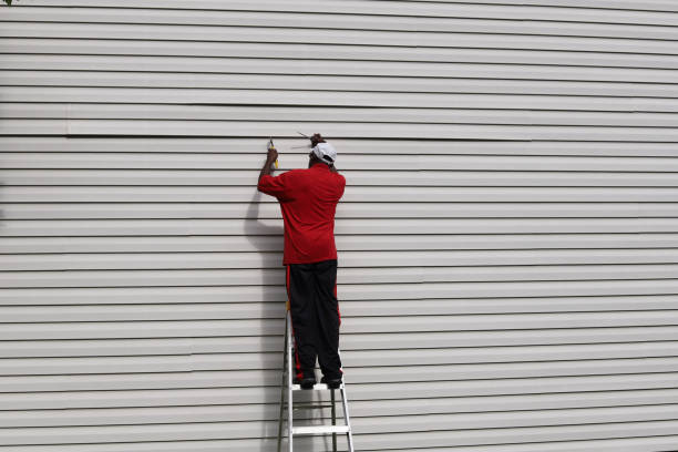 Best Siding Painting and Refinishing  in Springdale, AR